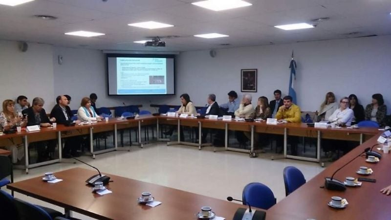 La Comisión de Economías Regionales junto a técnicos del Plan Belgrano