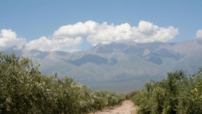 Esclavitud, discriminación y maltratos a trabajadores rurales