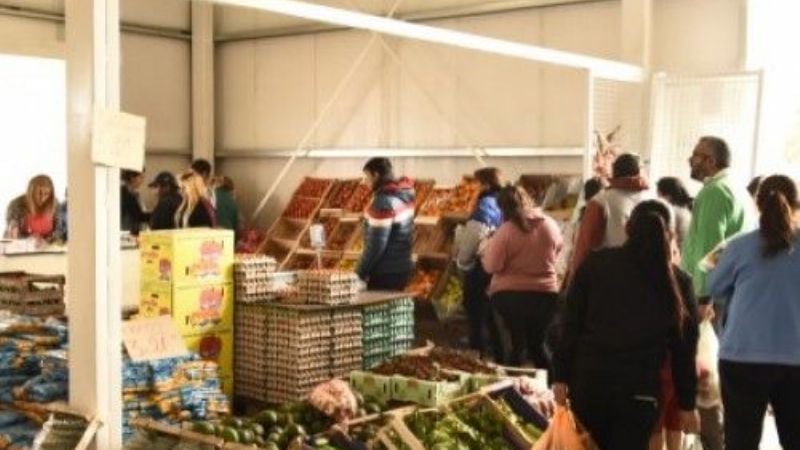 Avanza ampliación en el nuevo Abasto