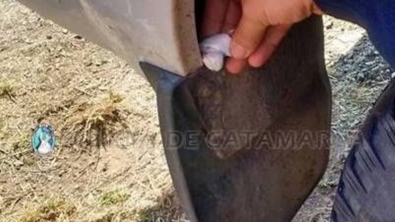 Camionetas de Chagas transportaban droga