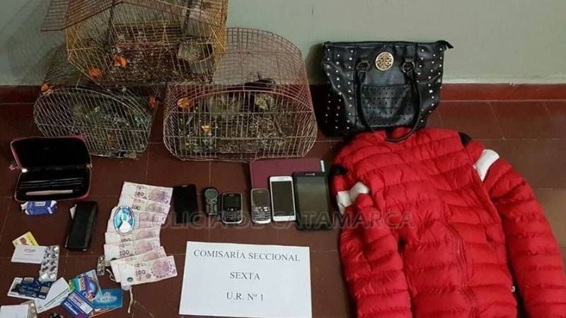 Recuperan elementos robados