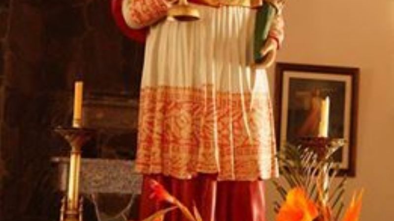 Procesión de San Ramón, Patrono de las Embarazadas