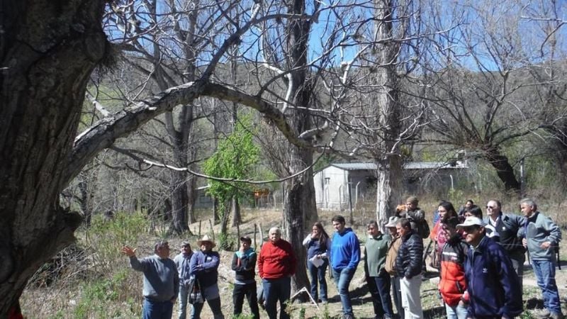 Capacitación para nogaleros