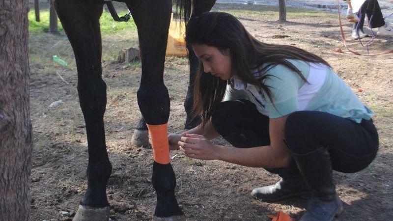 Valentina Piccirillo, primera catamarqueña campeona de salto hípico