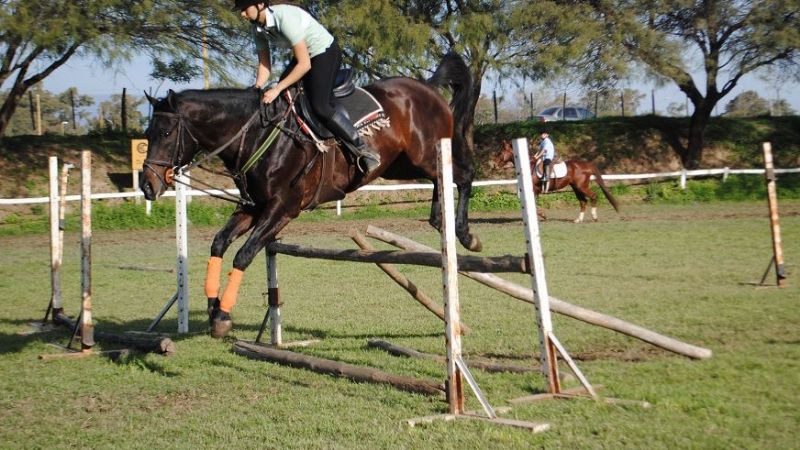 Valentina Piccirillo, primera catamarqueña campeona de salto hípico