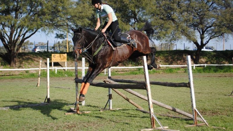 Valentina Piccirillo, primera catamarqueña campeona de salto hípico