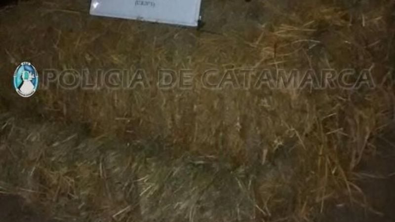 Detienen a un joven y secuestran elementos en Valle Viejo