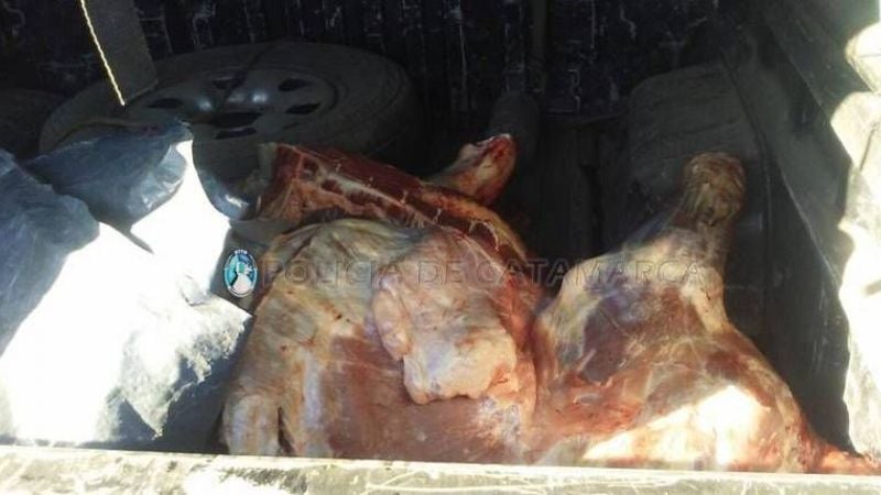Secuestran 100 kilos de carne en Capayán
