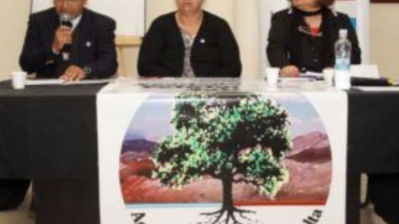 Quieren conformar la Dirección Regional de Folklore