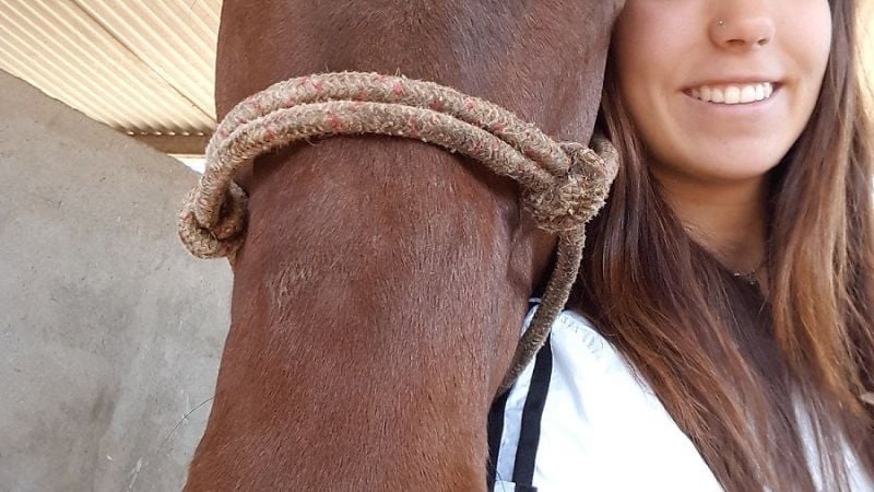 Valentina Piccirillo pone “alto” a la hípica catamarqueña