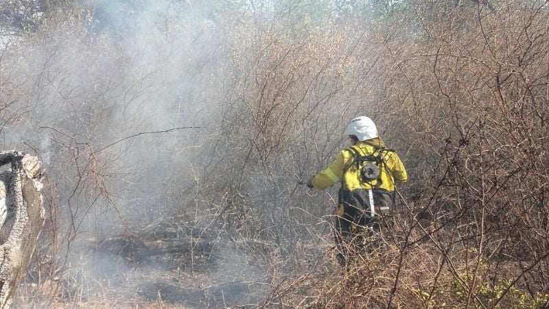 Incendios forestales en Capital, Capayán, Sumalao, Aconquija, Los Varela y El Rodeo