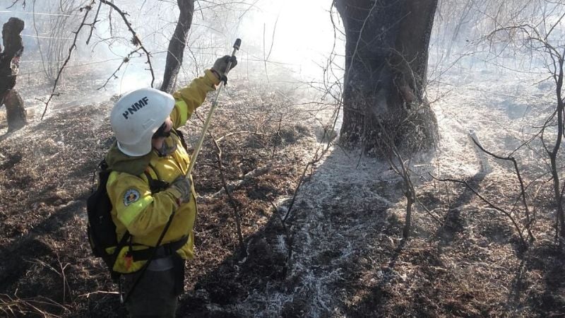 Piden “toma de conciencia” por los incendios