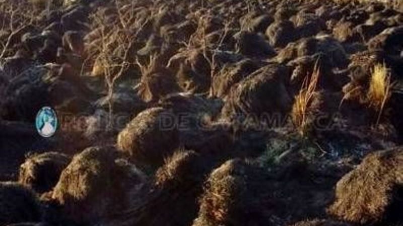 Incendio forestal en Ancasti