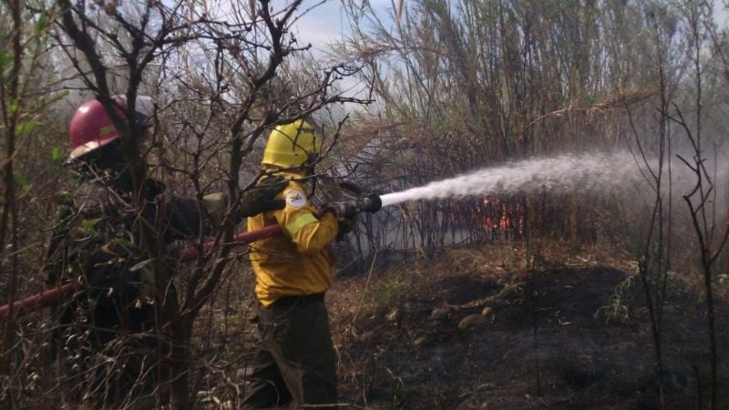 Quema de pastizales cerca de Los Bioquímicos