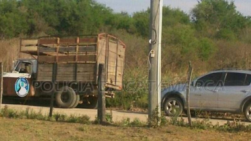Secuestran animales vacunos en La Paz