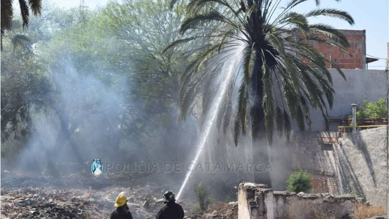 Incendio en baldío hizo arder dos palmeras