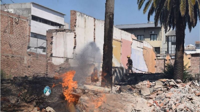 Incendio en baldío hizo arder dos palmeras