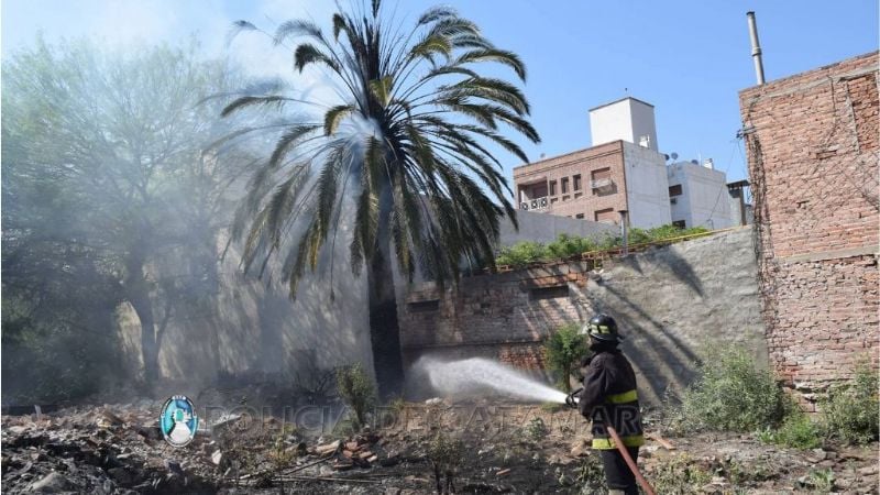 Incendio en baldío hizo arder dos palmeras
