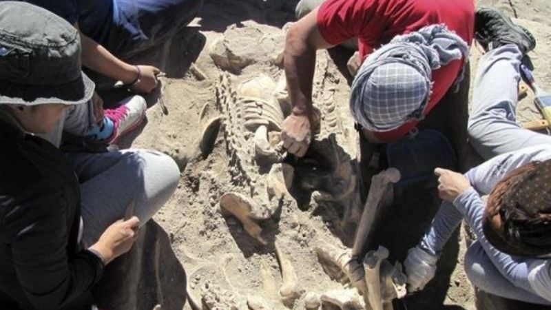 Encuentran en Mendoza un cementerio indígena de más de mil años