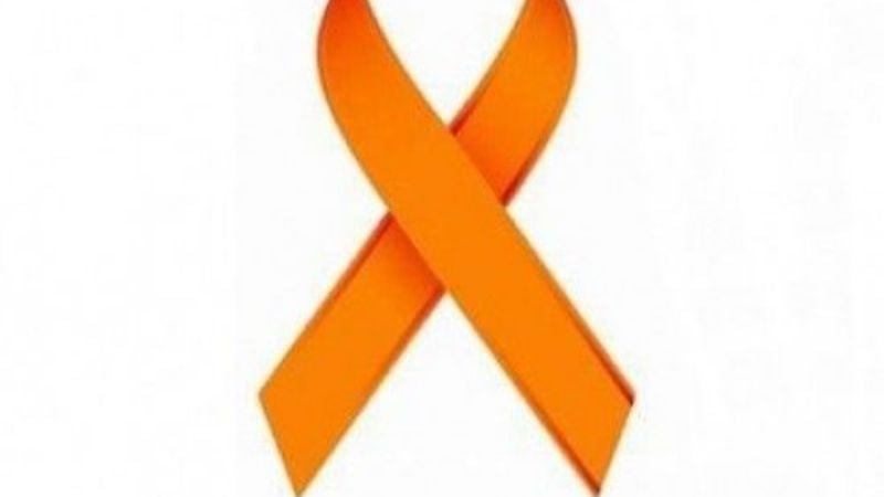 Jornadas de Prevención al Suicidio en SFVC