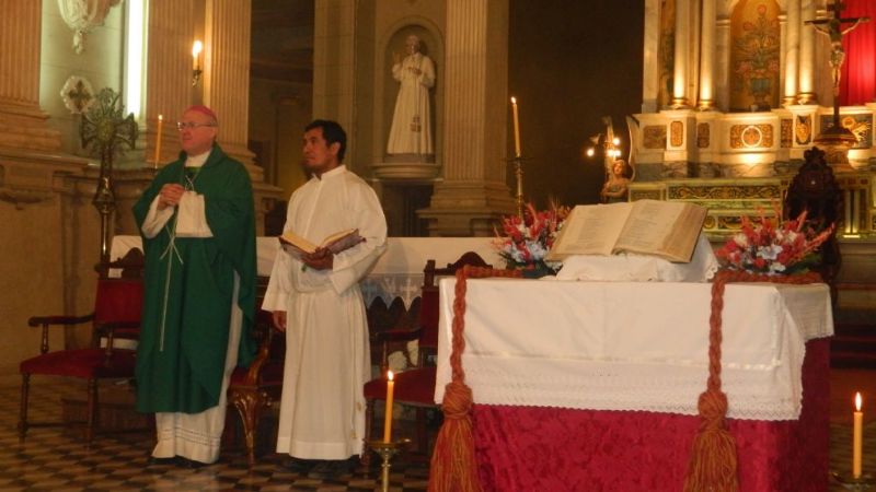 Mons. Urbanc: “Es un pecado causar daño a la Creación”