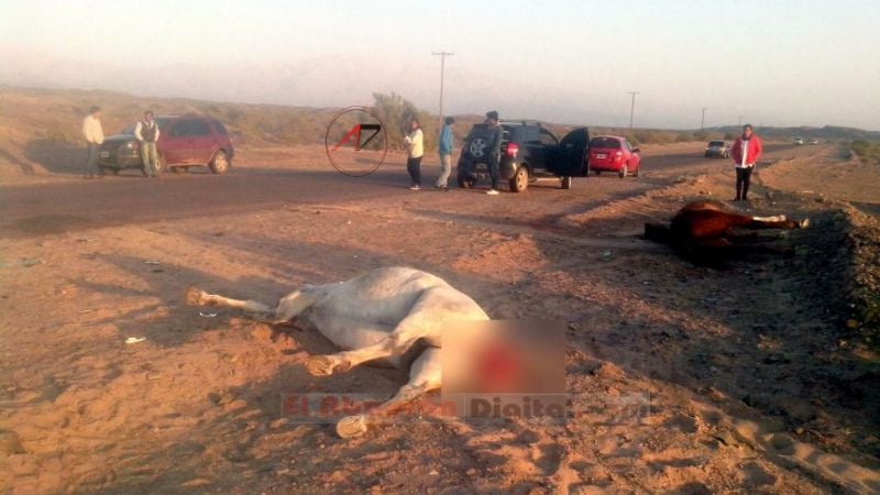 Embistió a tres caballos y se salvó de milagro