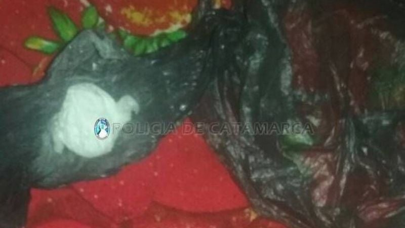 Desbarataron una banda que comercializaba droga y ansiolíticos en El Rodeo