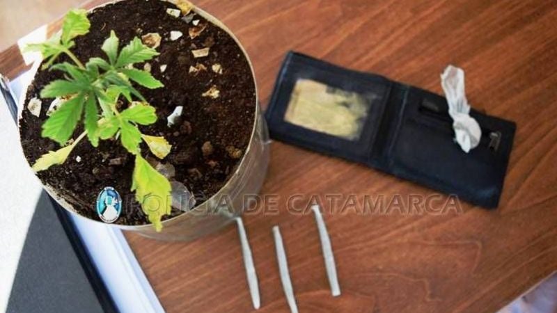 Incautan droga en un puesto de control en Fray Mamerto Esquiú