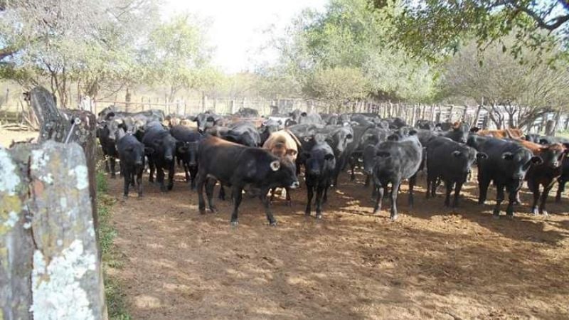 23 de Setiembre nace el departamento La Paz