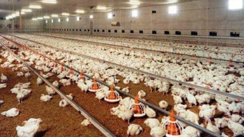 23 de Setiembre nace el departamento La Paz