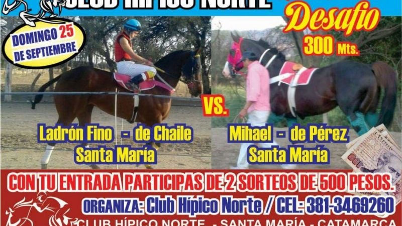 Caballos de Belén, Cafayate y Santa María se medirán en espectaculares cuadreras