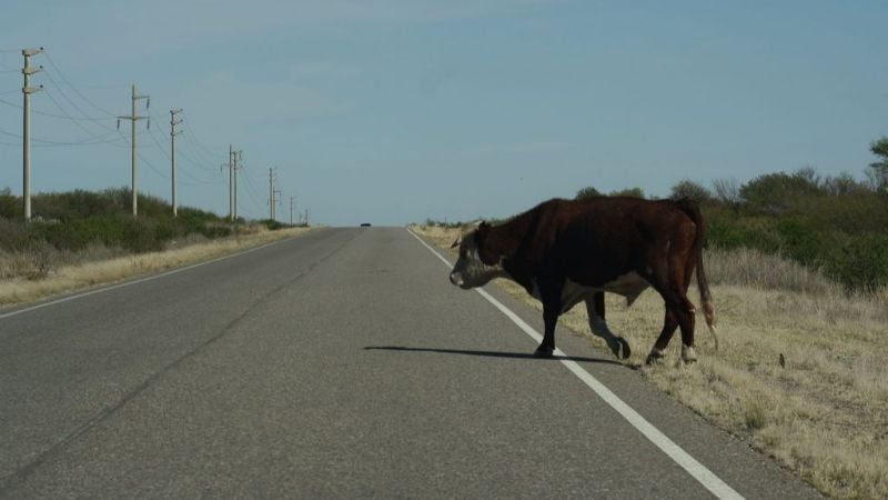 Dirigentes de Pomán salieron ilesos tras un accidente