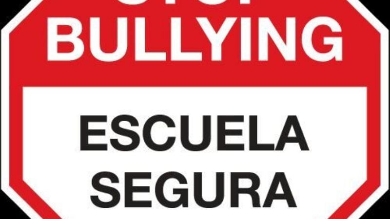 Violencia Escolar y Peligros en la Red