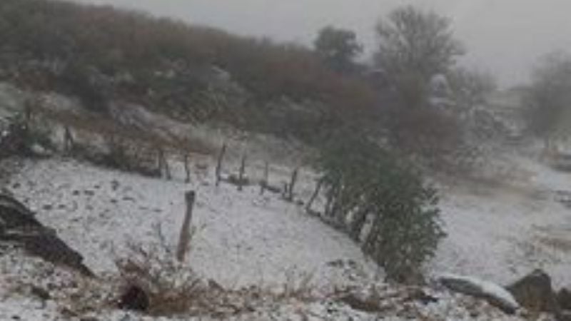 Reportan caída de nieve en varias localidades del interior