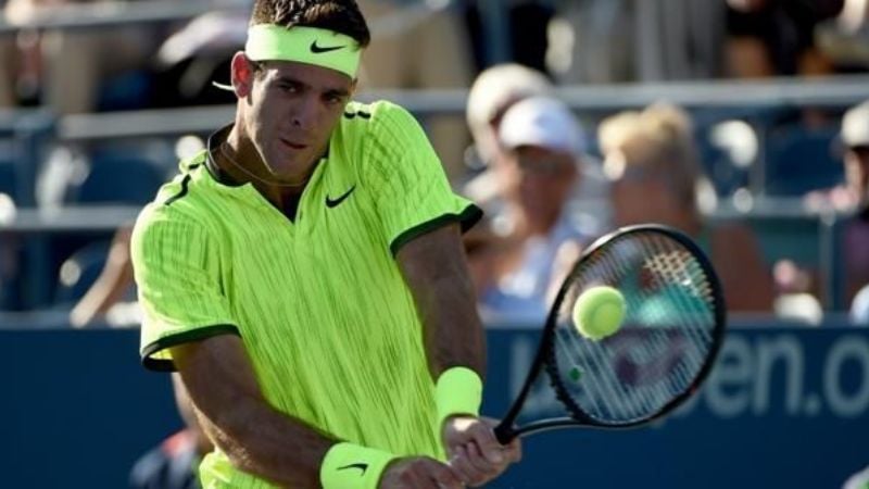 Del Potro derrotó a Ferrer y avanzó a los octavos