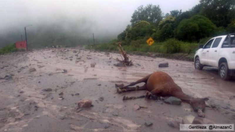 Un alud causó dos muertos y 40 familias evacuadas
