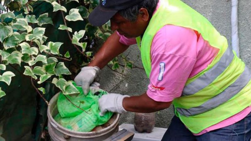 “La batalla cotidiana se libra todo el año en el hogar”	