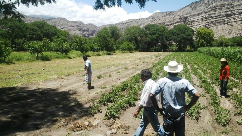 El ministro de Producción recorrió las zonas afectadas por el granizo