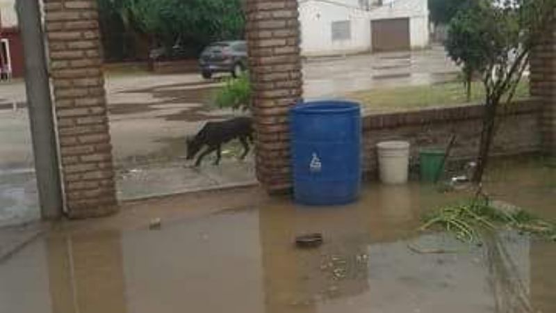 Reclamos por viejos problemas después de cada lluvia
