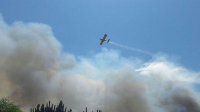 Combaten feroz incendio en la ruta 1