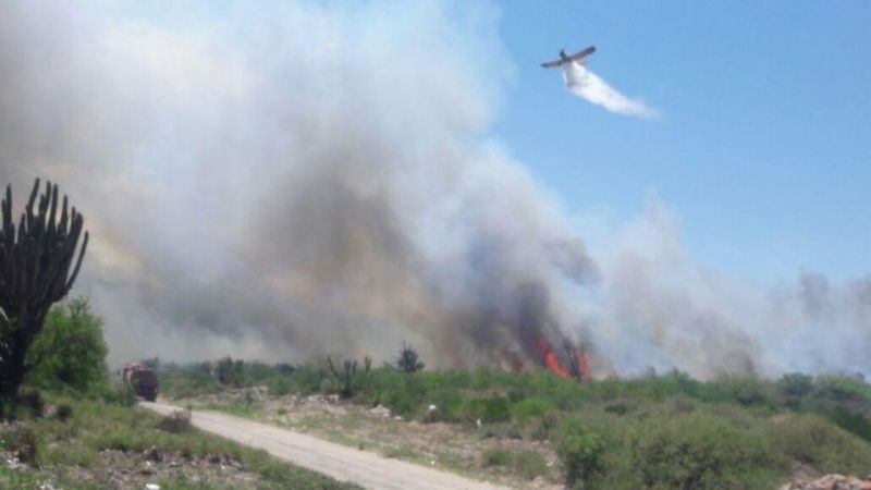 Combaten feroz incendio en la ruta 1