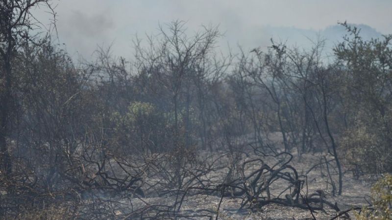 Combaten feroz incendio en la ruta 1