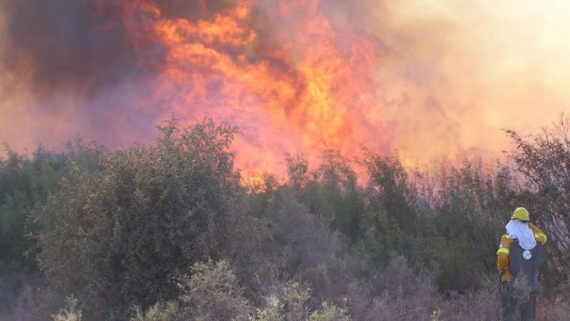 Siguen activos diez focos de incendio en La Pampa