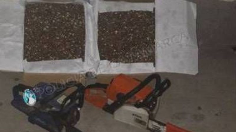 Esclarecen robo en Santa María