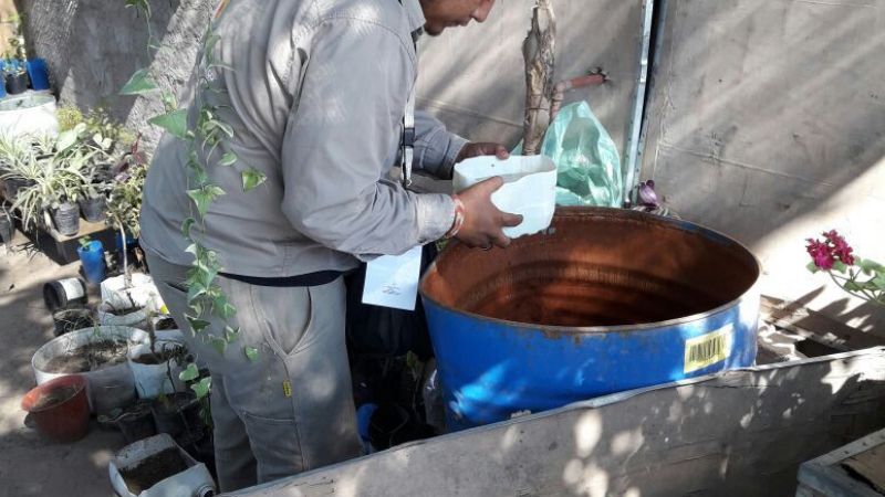 Continúan las actividades de prevención de Dengue, Zika, Chikungunya