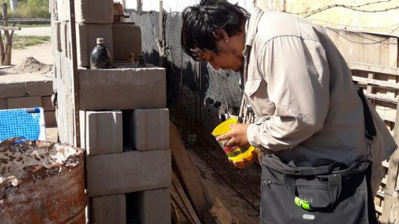 Continúan las actividades de prevención de Dengue, Zika, Chikungunya