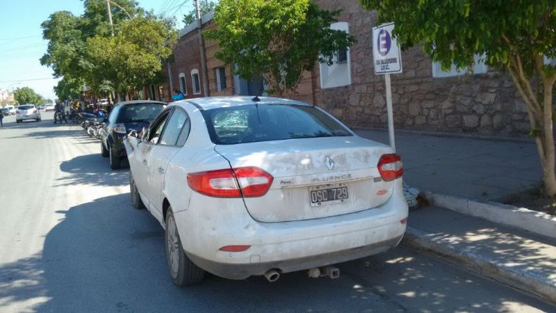 Animales sueltos provocaron accidente en la ruta 157
