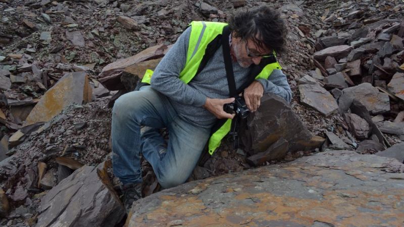 Argentinos descubren el registro de vida más antiguo de Sudamérica