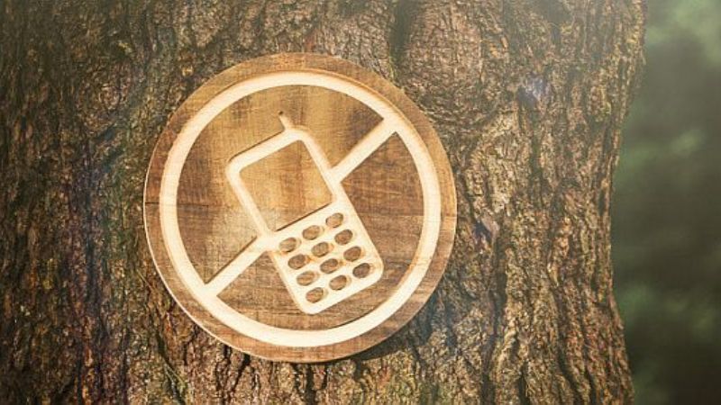 Digital detox: la moda de desconectarse de las redes sociales