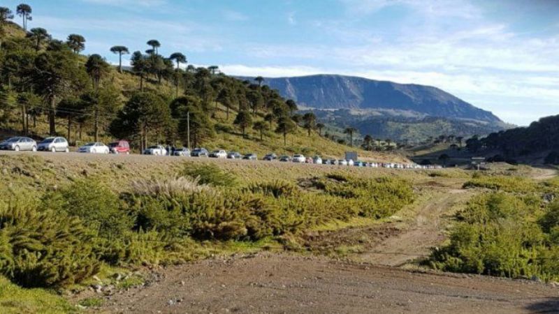 Recomiendan evitar el contacto con aves en Chile por la gripe aviar